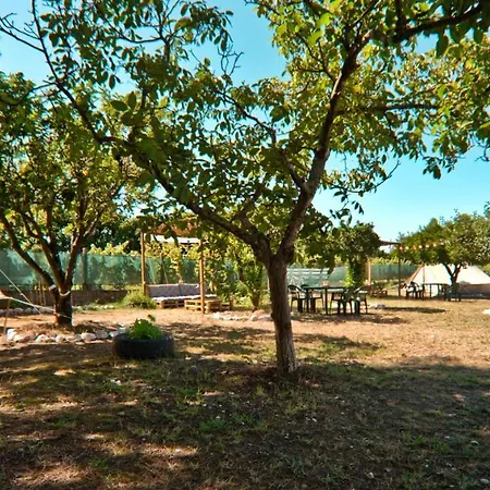Maison d'hôtes Fino Seixo Seixo (Leiria)