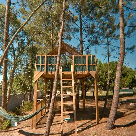 Fino Seixo Seixo (Leiria)