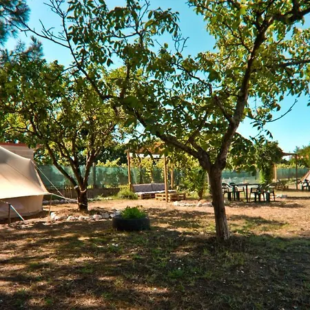 Maison d'hôtes Fino Seixo Seixo (Leiria)