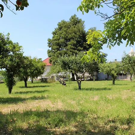 Maison d'hôtes Fino Seixo