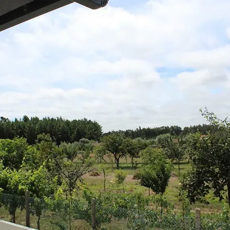 Fino Seixo * Seixo (Leiria)