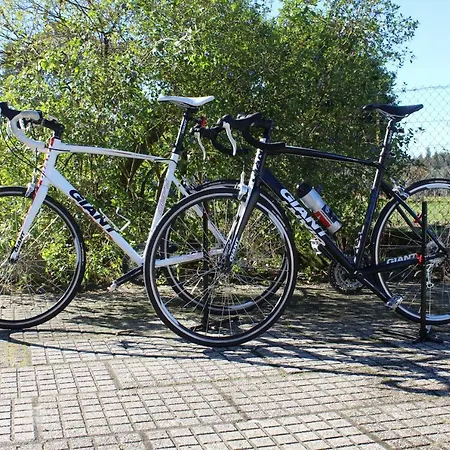 Fino Seixo * Seixo (Leiria)